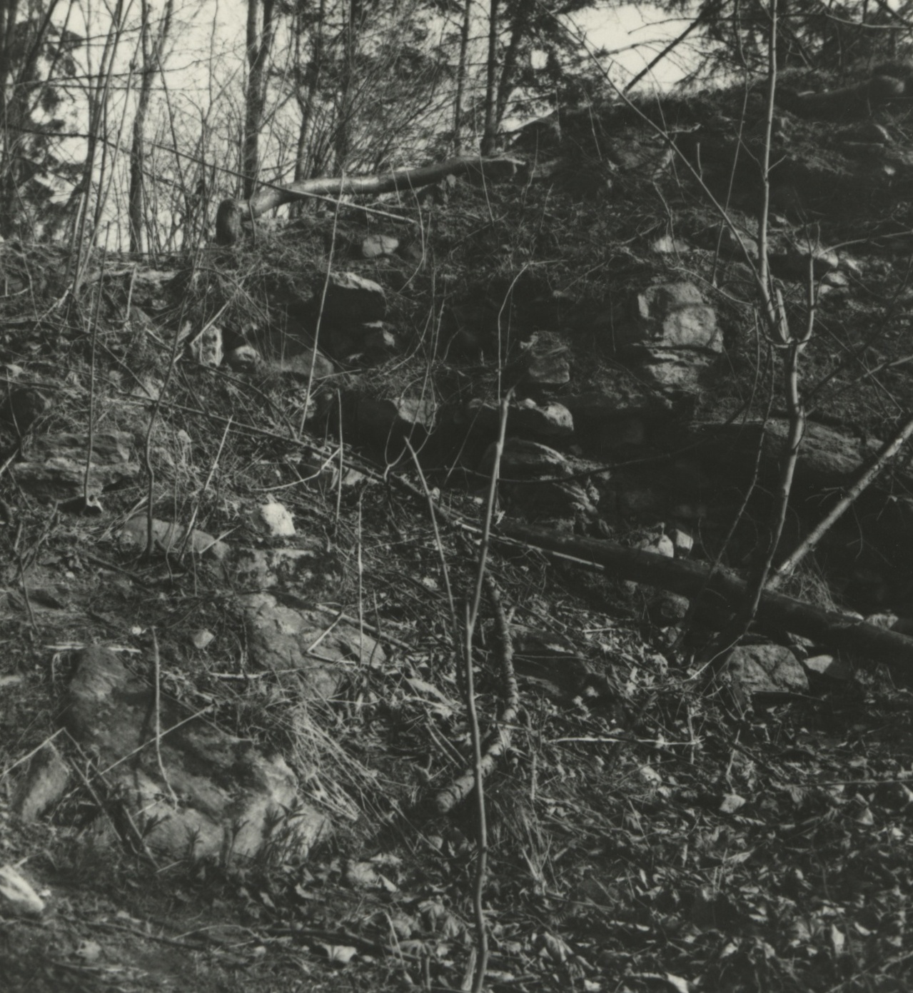 Náhledový obrázek Archeologický průzkum hrádku Adelsburg (1977) - 2