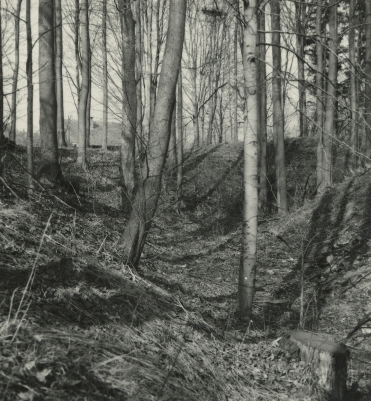 Náhledový obrázek Archeologický průzkum hrádku Adelsburg (1977) - 2