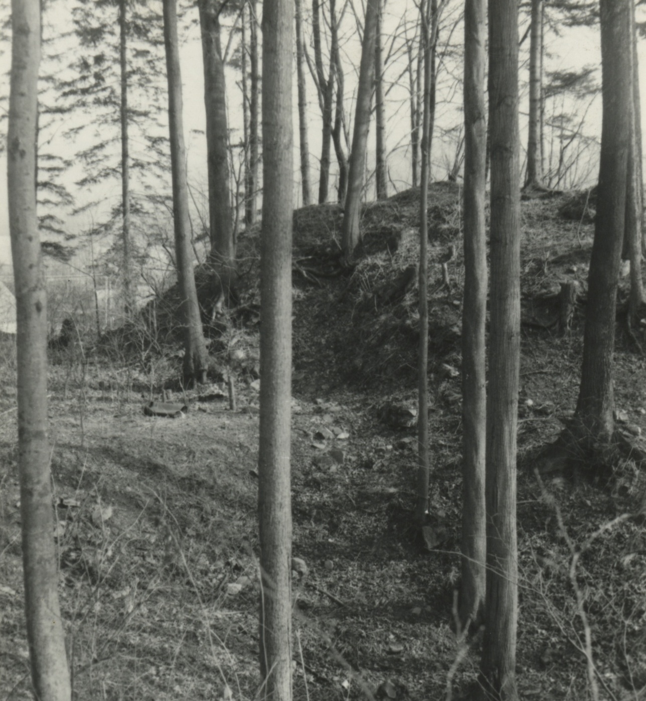 Náhledový obrázek Archeologický průzkum hrádku Adelsburg (1977) - 2