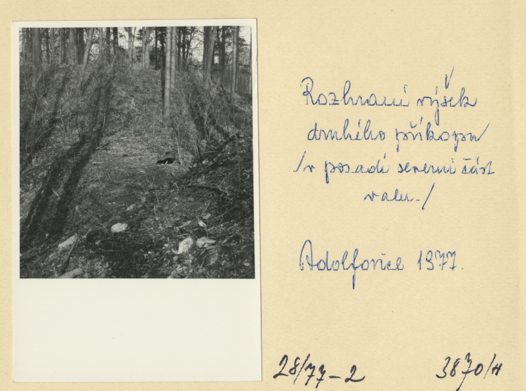 Náhledový obrázek Archeologický průzkum hrádku Adelsburg (1977) - 1