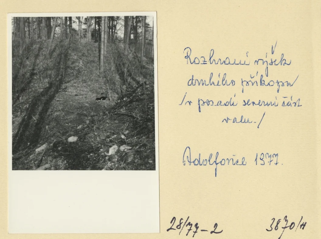 Náhledový obrázek předmětu Archeologický průzkum hrádku Adelsburg (1977)