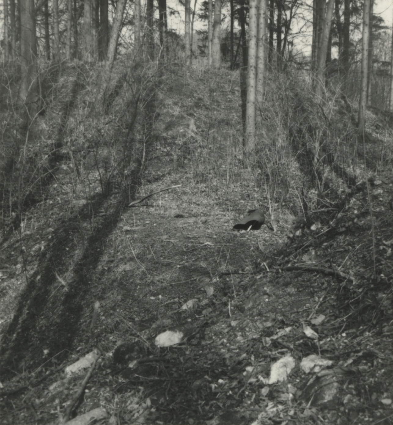Náhledový obrázek Archeologický průzkum hrádku Adelsburg (1977) - 2
