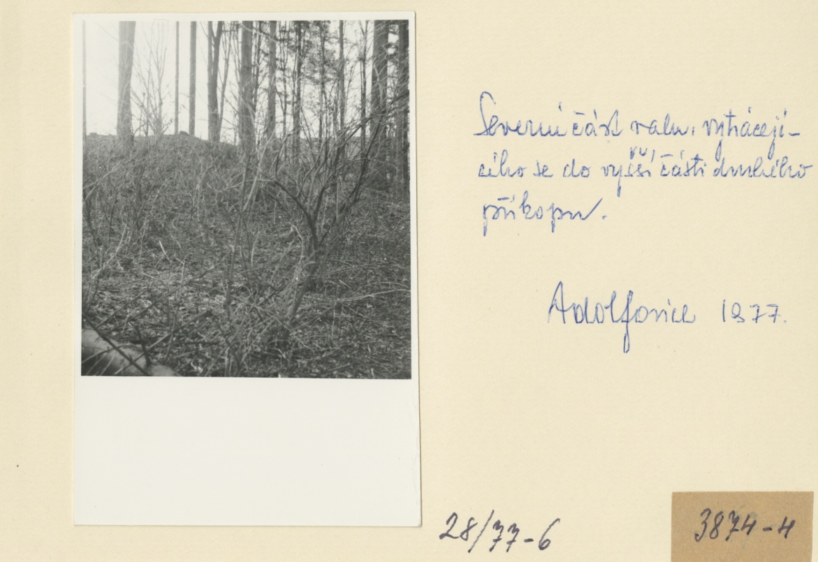 Náhledový obrázek Archeologický průzkum hrádku Adelsburg (1977) - 1