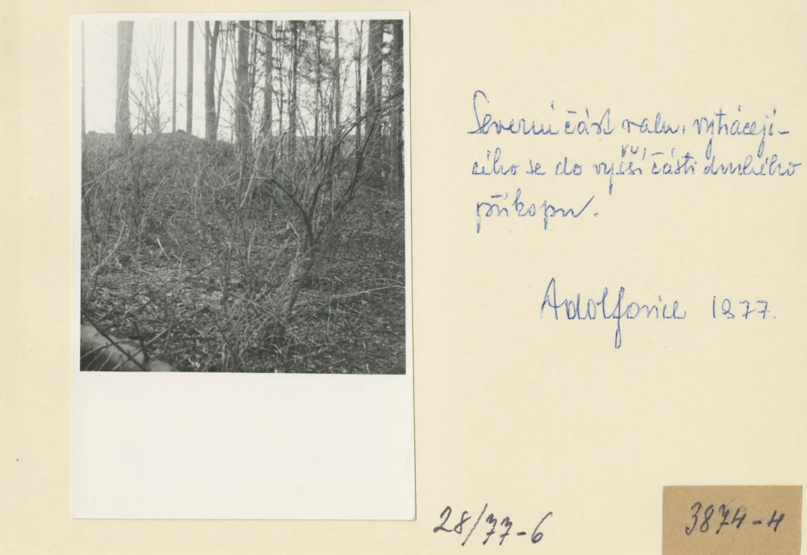 Náhledový obrázek předmětu Archeologický průzkum hrádku Adelsburg (1977)