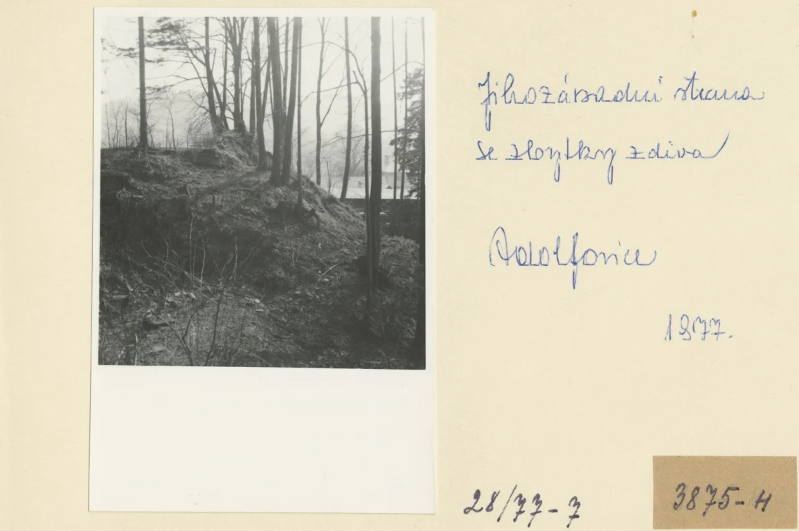 Náhledový obrázek předmětu Archeologický průzkum hrádku Adelsburg (1977)