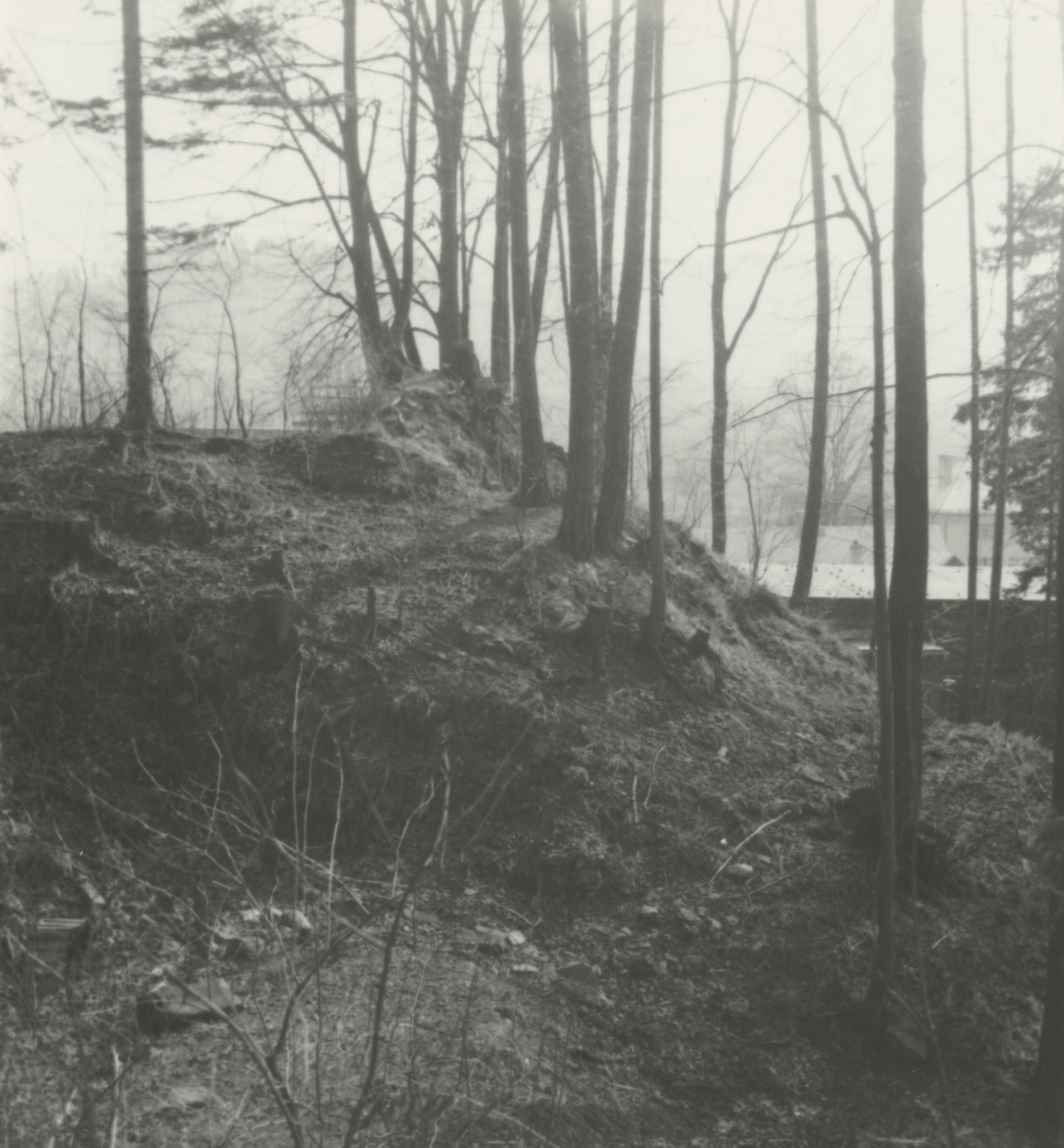 Náhledový obrázek Archeologický průzkum hrádku Adelsburg (1977) - 2