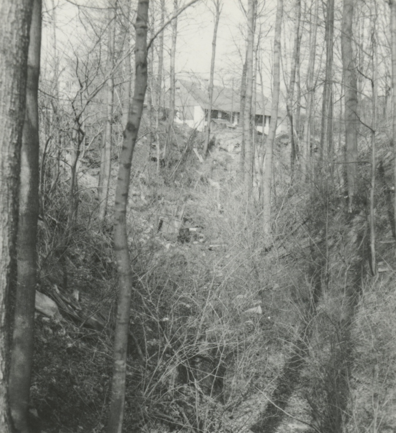 Náhledový obrázek Archeologický průzkum hrádku Adelsburg (1977) - 2