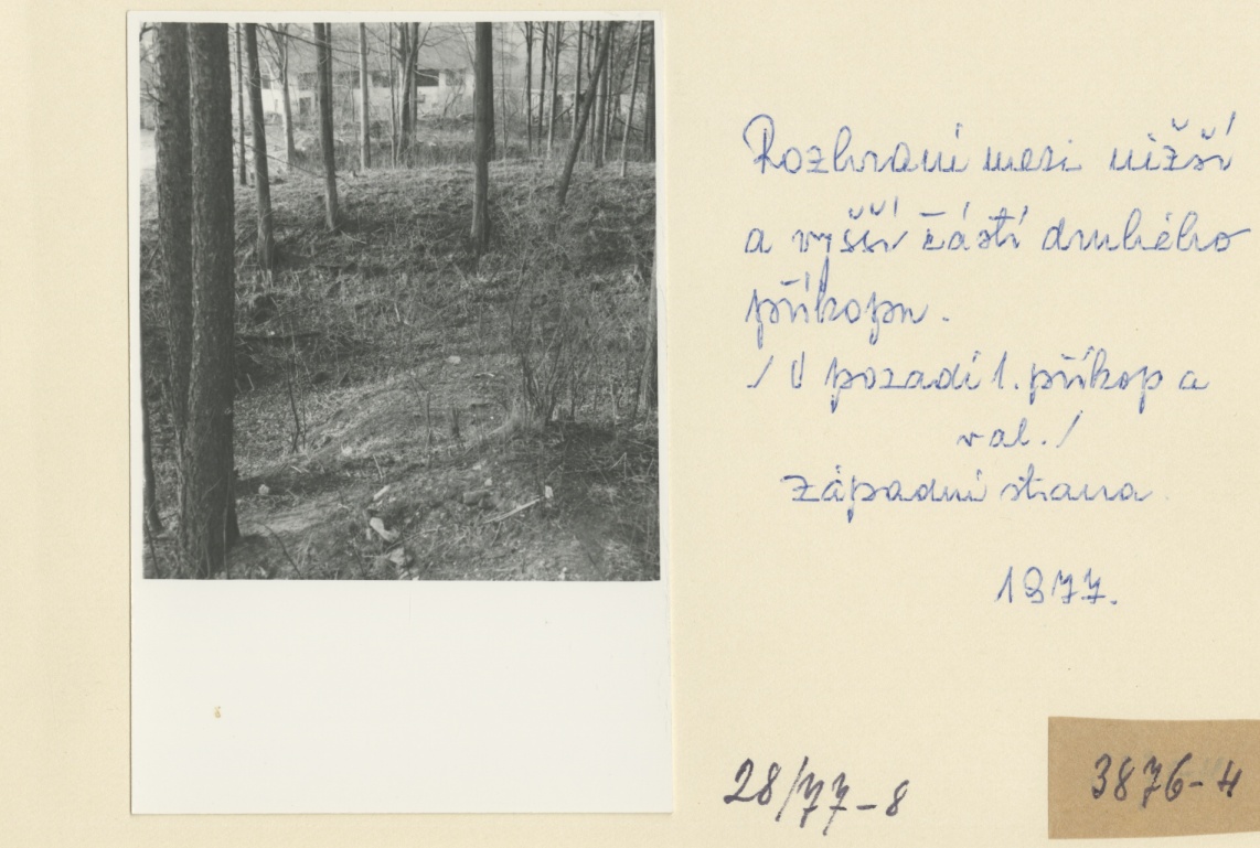 Náhledový obrázek Archeologický průzkum hrádku Adelsburg (1977) - 1