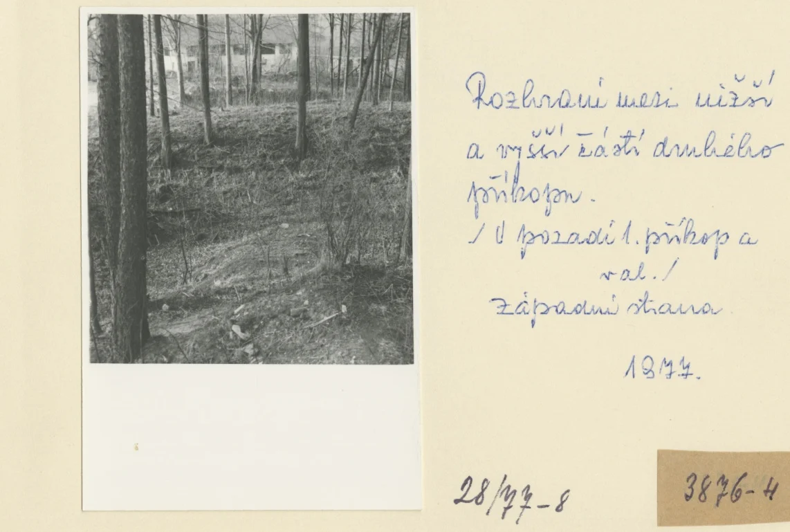Náhledový obrázek předmětu Archeologický průzkum hrádku Adelsburg (1977)