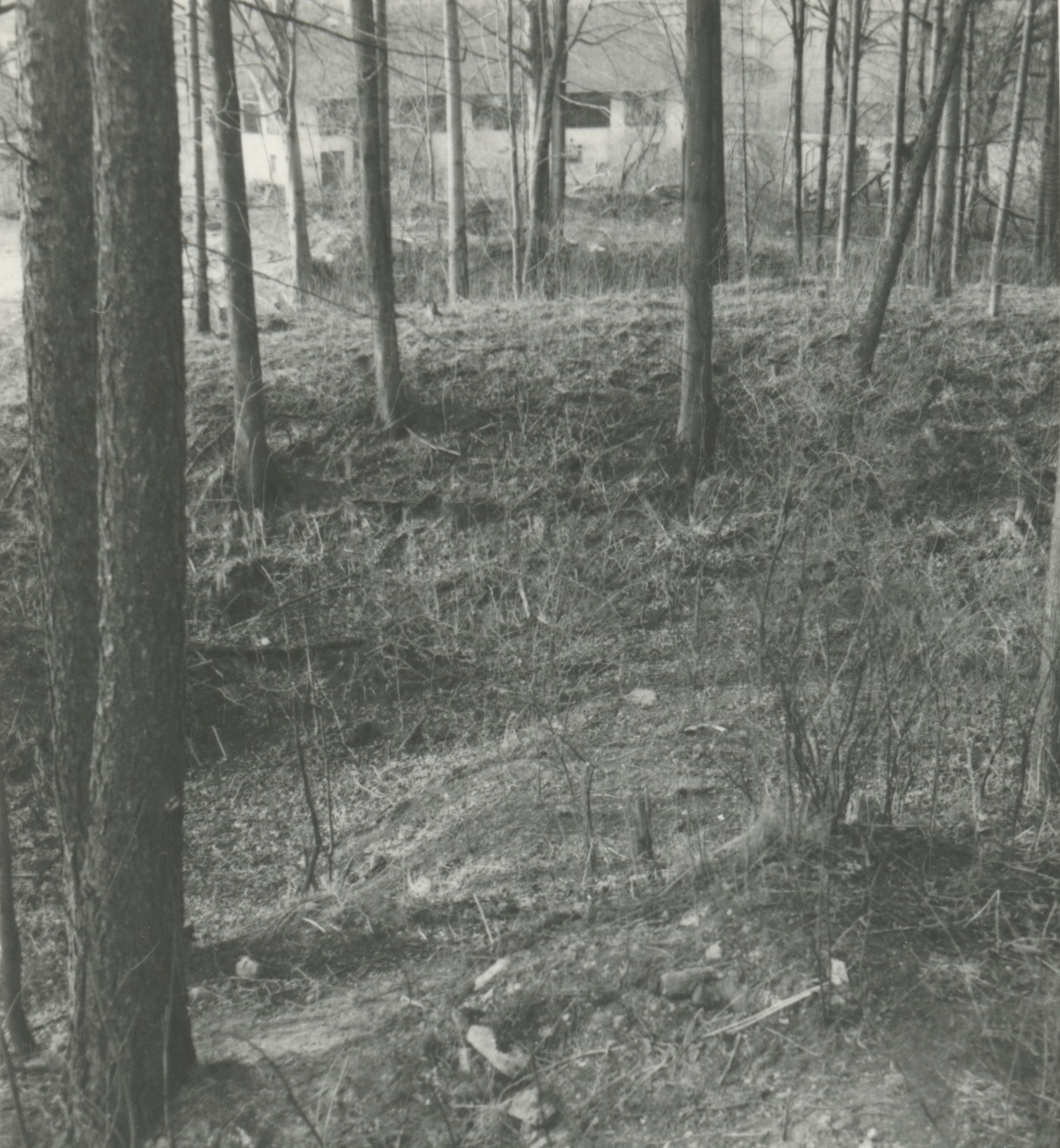 Náhledový obrázek Archeologický průzkum hrádku Adelsburg (1977) - 2