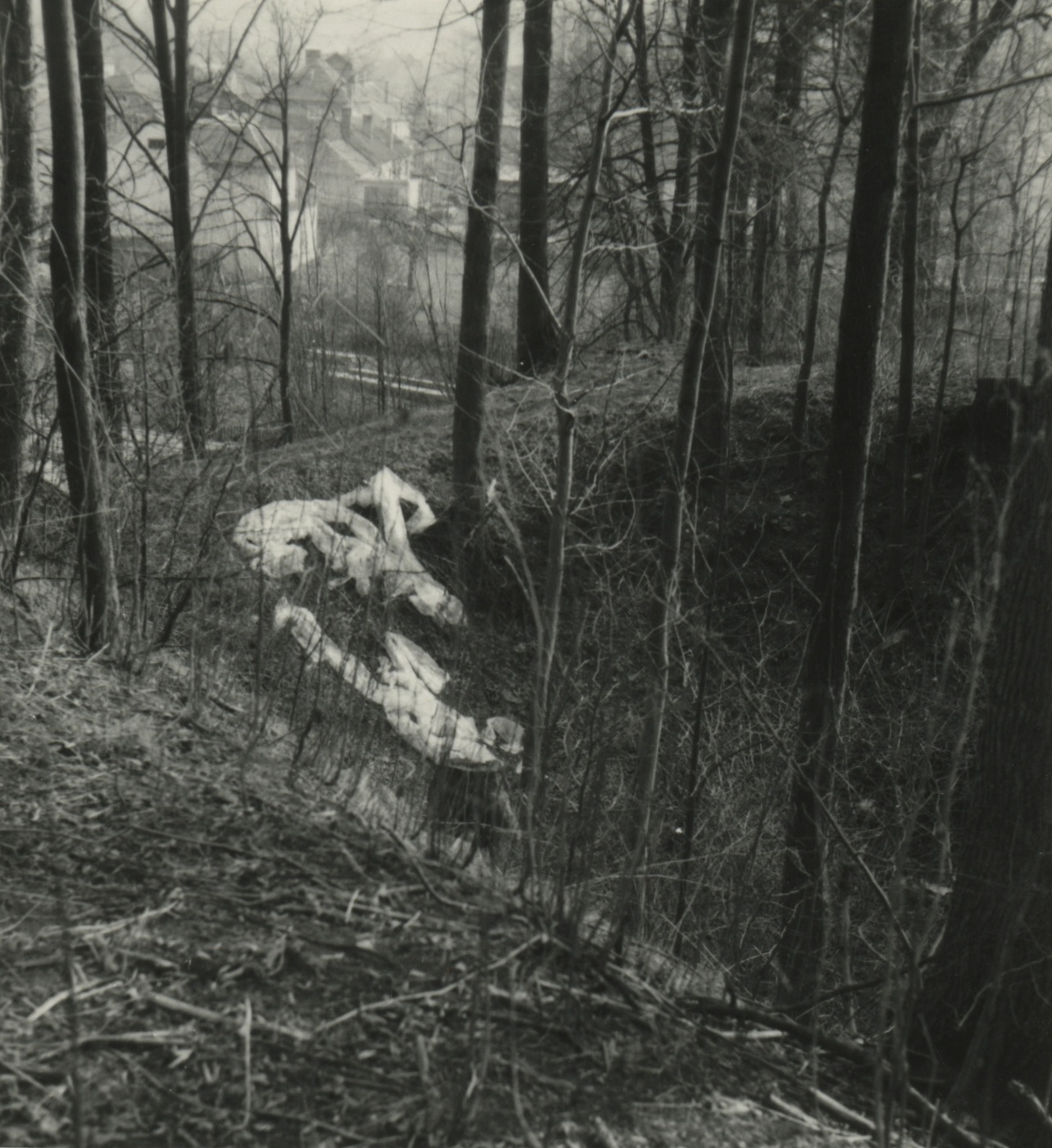 Náhledový obrázek Archeologický průzkum hrádku Adelsburg (1977) - 2