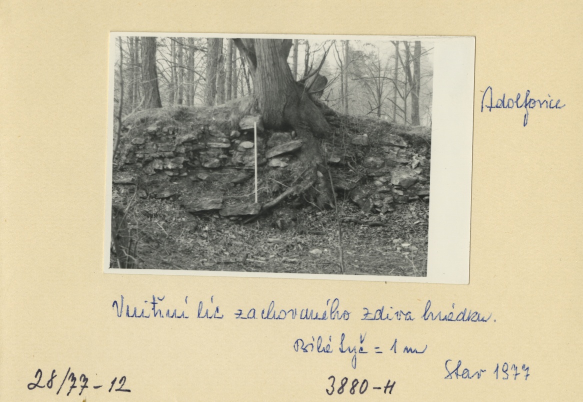 Náhledový obrázek Archeologický průzkum hrádku Adelsburg (1977) - 1