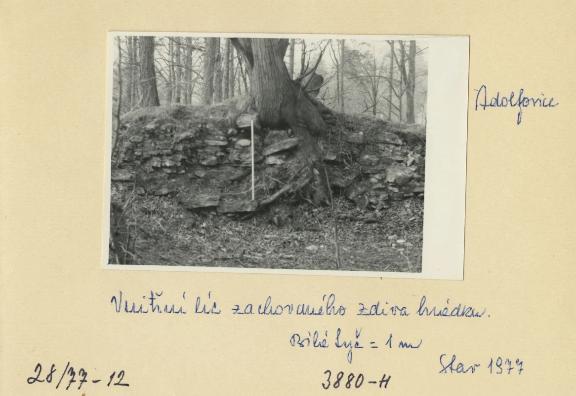 Náhledový obrázek předmětu Archeologický průzkum hrádku Adelsburg (1977)