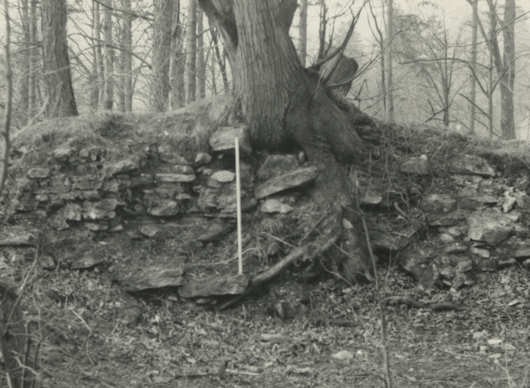 Náhledový obrázek Archeologický průzkum hrádku Adelsburg (1977) - 2