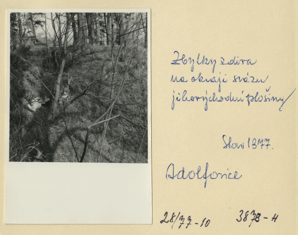 Náhledový obrázek předmětu Archeologický průzkum hrádku Adelsburg (1977)