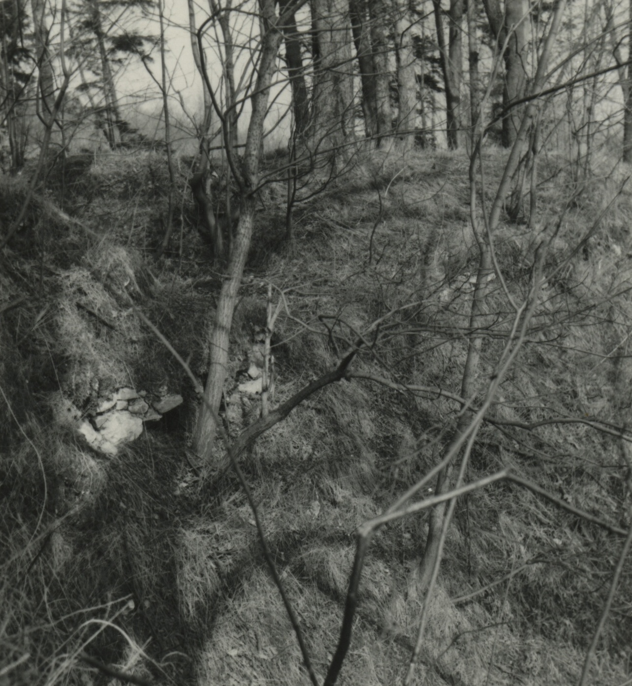 Náhledový obrázek Archeologický průzkum hrádku Adelsburg (1977) - 2
