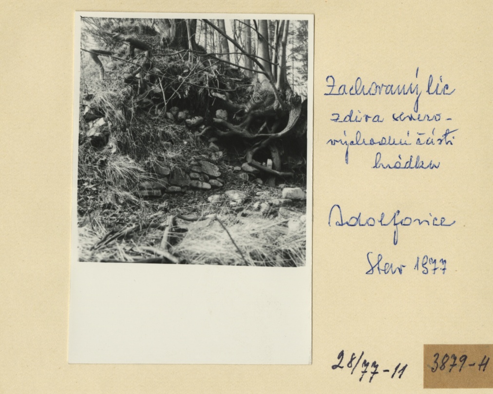 Náhledový obrázek Archeologický průzkum hrádku Adelsburg (1977) - 1