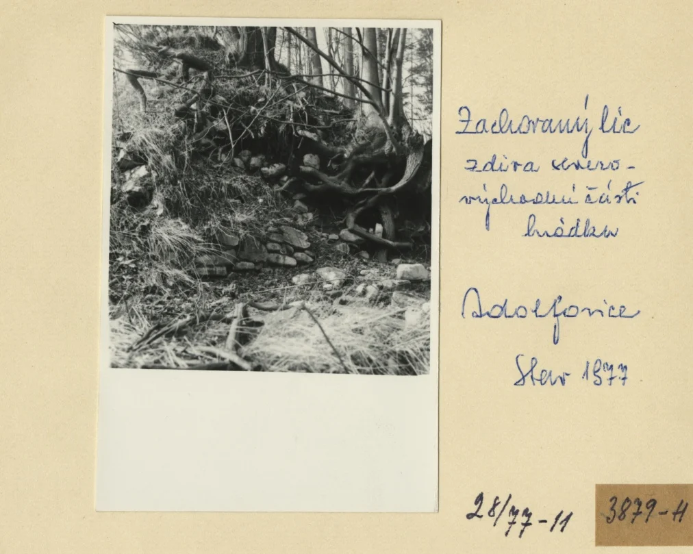 Náhledový obrázek předmětu Archeologický průzkum hrádku Adelsburg (1977)