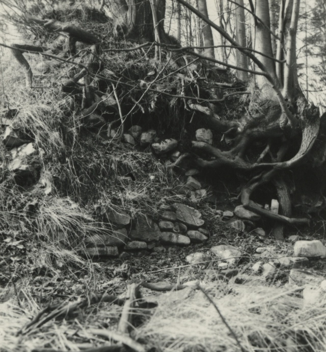 Náhledový obrázek Archeologický průzkum hrádku Adelsburg (1977) - 2
