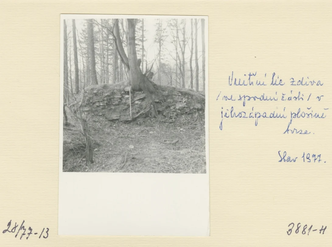 Náhledový obrázek předmětu Archeologický průzkum hrádku Adelsburg (1977)
