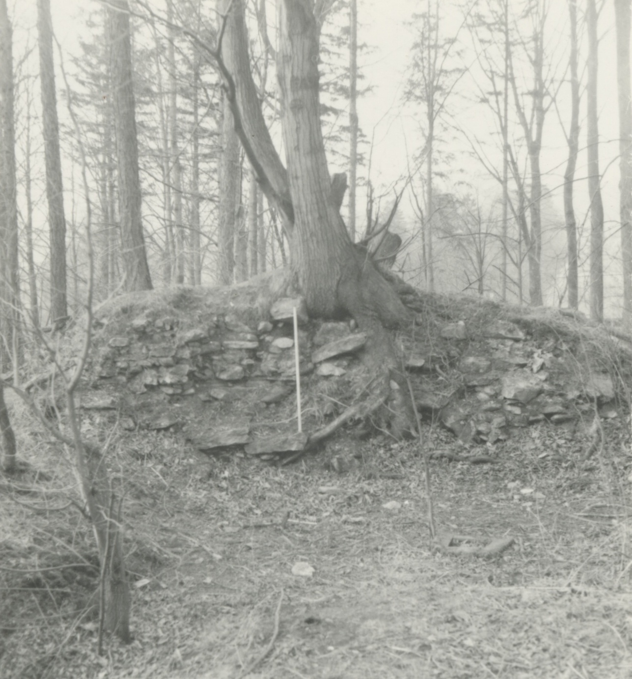 Náhledový obrázek Archeologický průzkum hrádku Adelsburg (1977) - 2