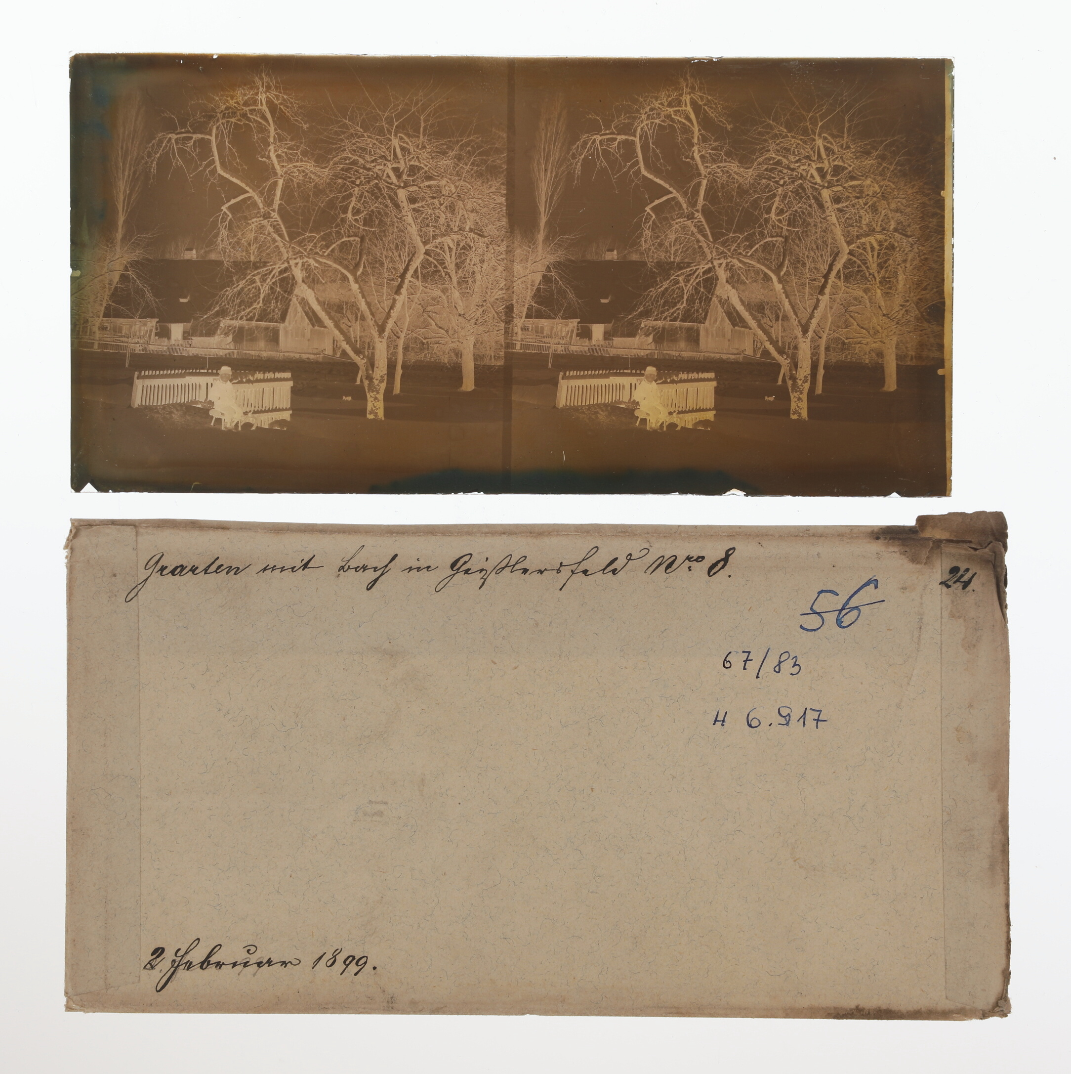 Náhledový obrázek Skleněný stereonegativ: dům č. 8 v osadě Lomy (Geisslersfeld) v Supíkovicích (1899) - 3