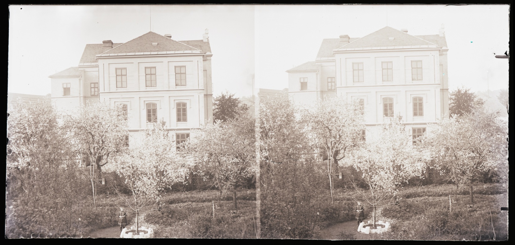 Náhledový obrázek Skleněný stereonegativ: zahrada před obecnou školou v Supíkovicích (1913) - 1