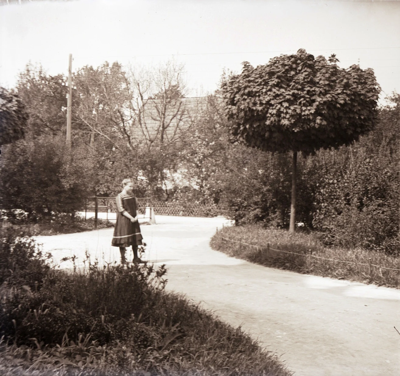 Náhledový obrázek předmětu Skleněný stereonegativ: pohled na most (v Supíkovicích ?) (1913)