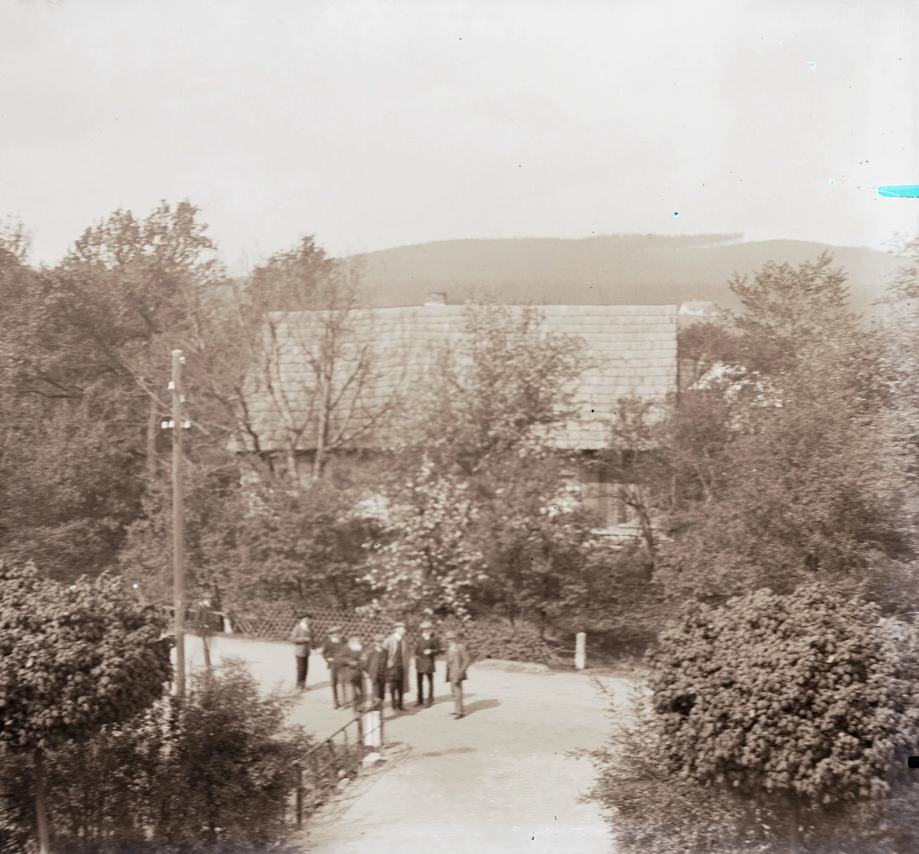 Náhledový obrázek předmětu Skleněný stereonegativ: doškový dům v Supíkovicích (1913)