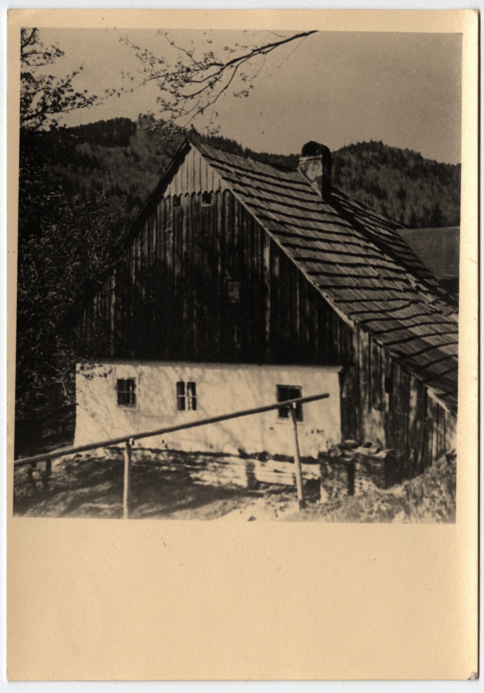 Náhledový obrázek Horská usedlost v Hamrové na historické fotografii - 1