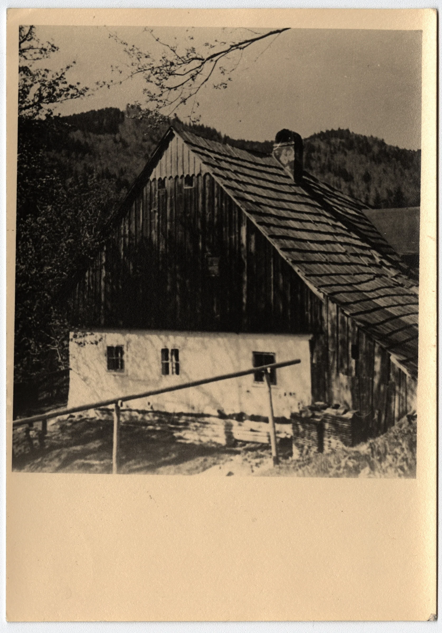 Náhledový obrázek předmětu Horská usedlost v Hamrové na historické fotografii
