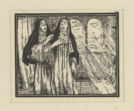 Náhledový obrázek Ilustrace - Portugalské listy - 1