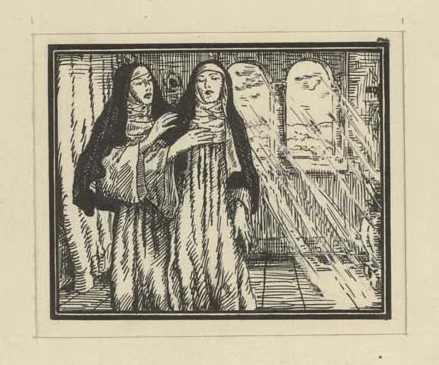 Náhledový obrázek předmětu Ilustrace - Portugalské listy