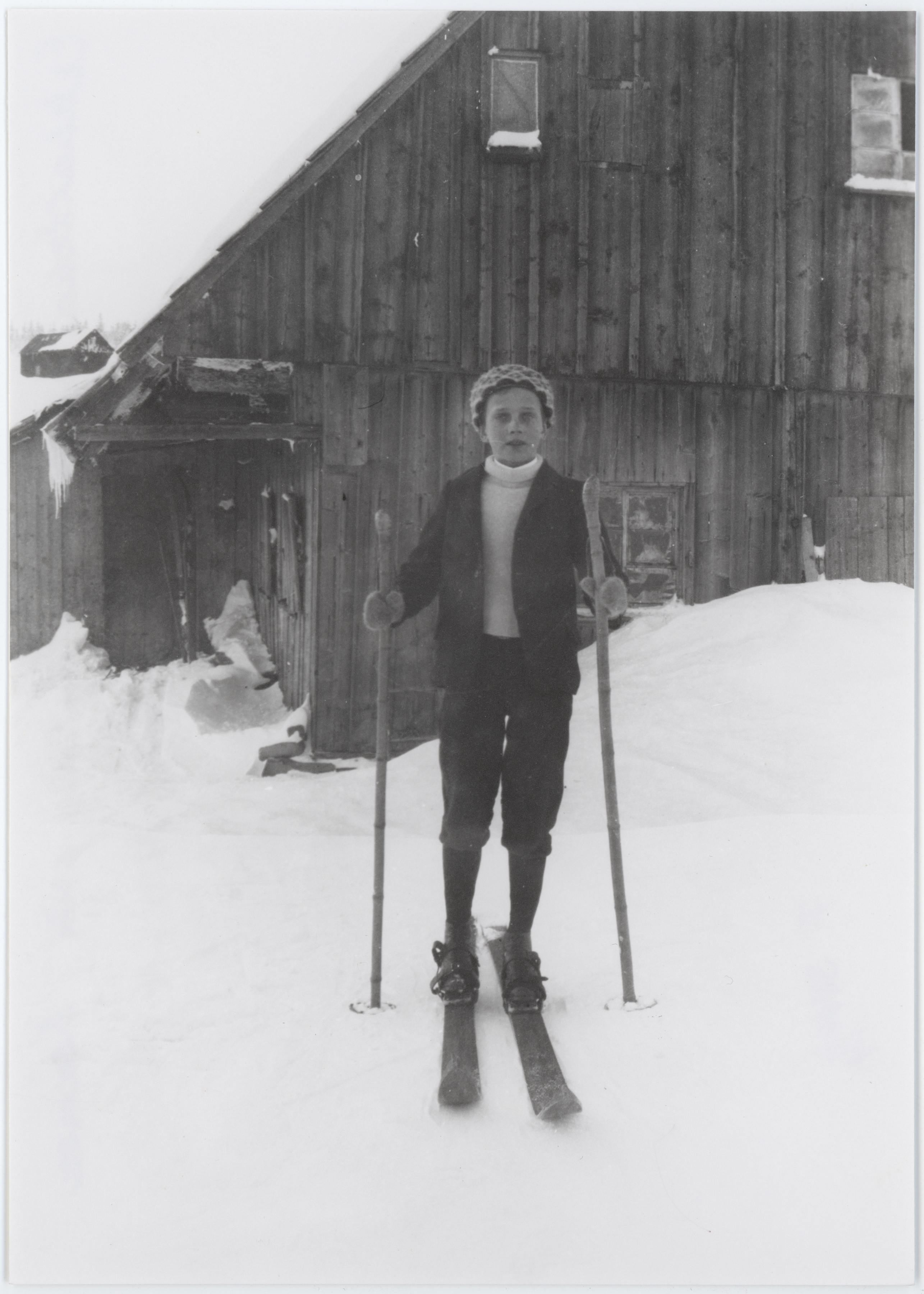 Náhledový obrázek Erlebachova bouda - 2
