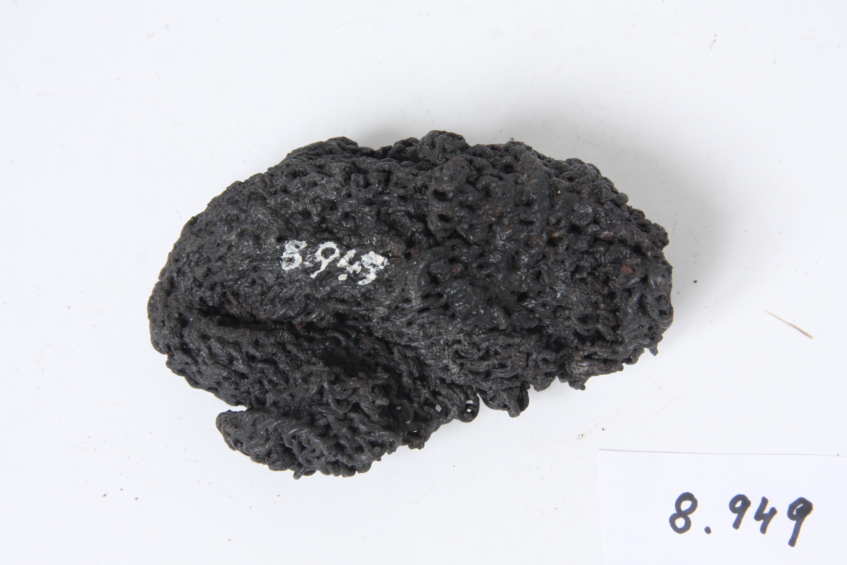 Náhledový obrázek Fragment kroužkové brně - 1
