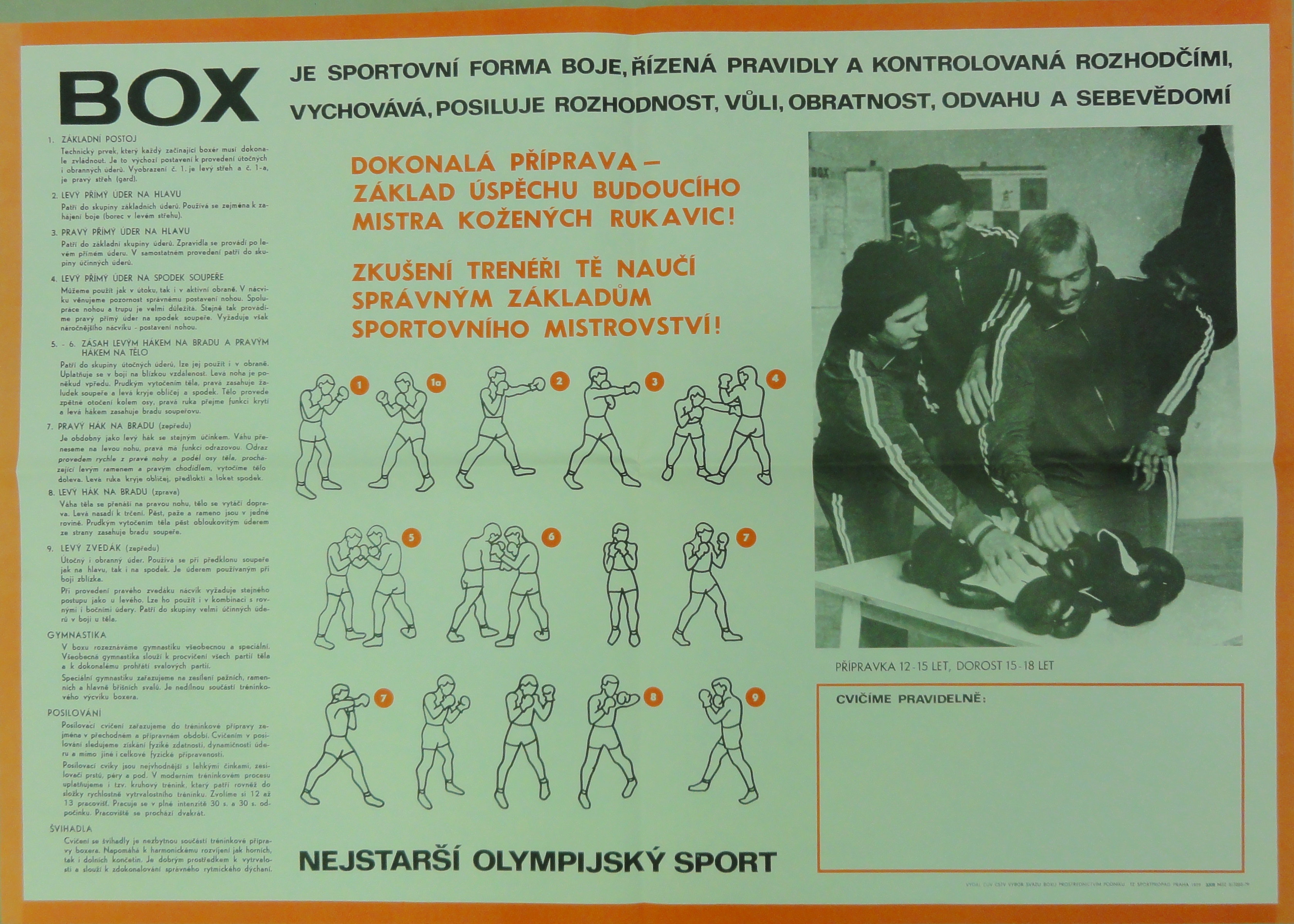 Náhledový obrázek Box - 1