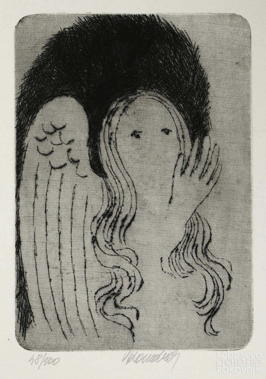Náhledový obrázek Komárek Vladimír, J. Topol, Husova pouť s graf. listem č. 48/100, bibliofilie - 1