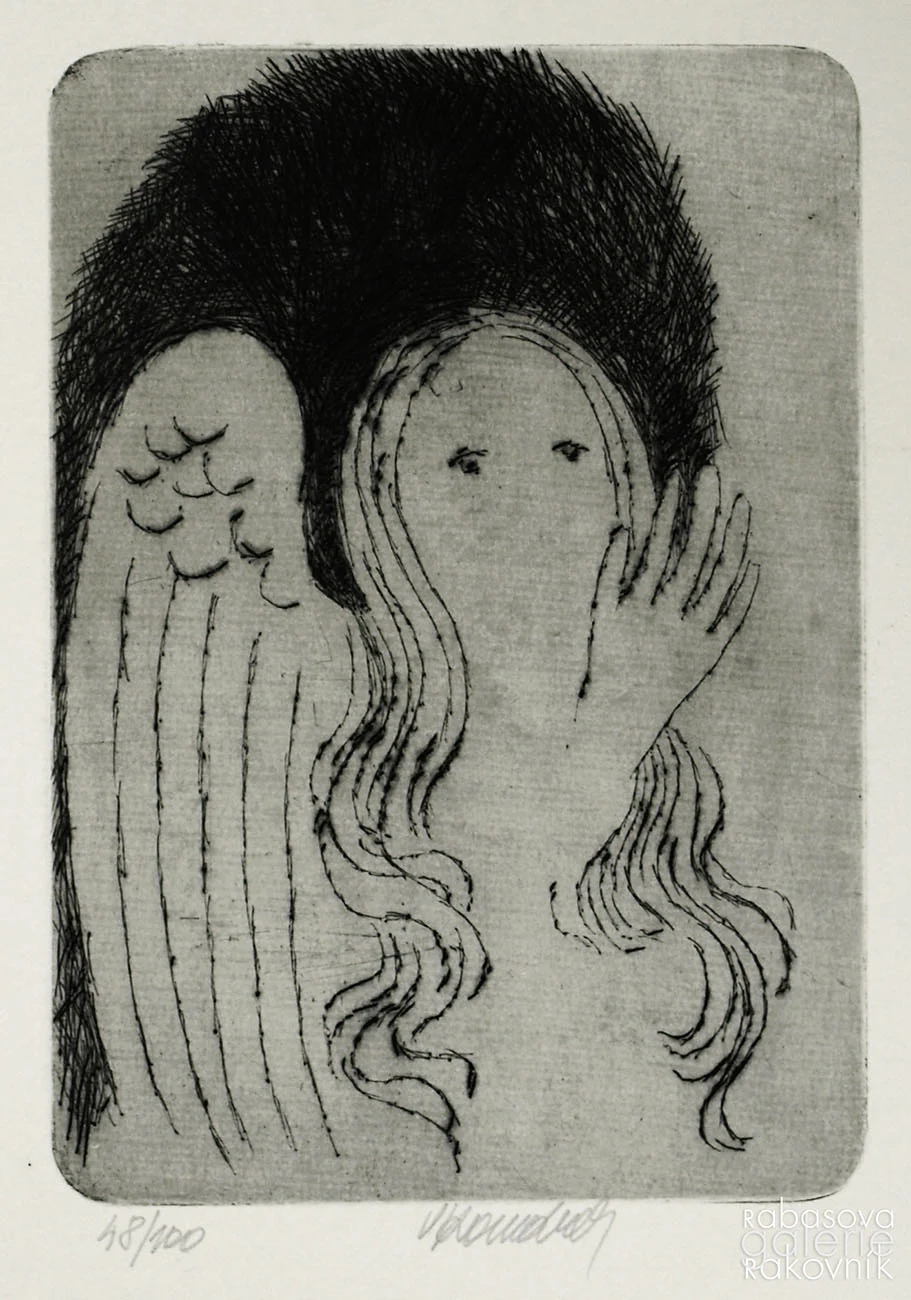 Obrázek Komárek Vladimír, J. Topol, Husova pouť s graf. listem č. 48/100, bibliofilie