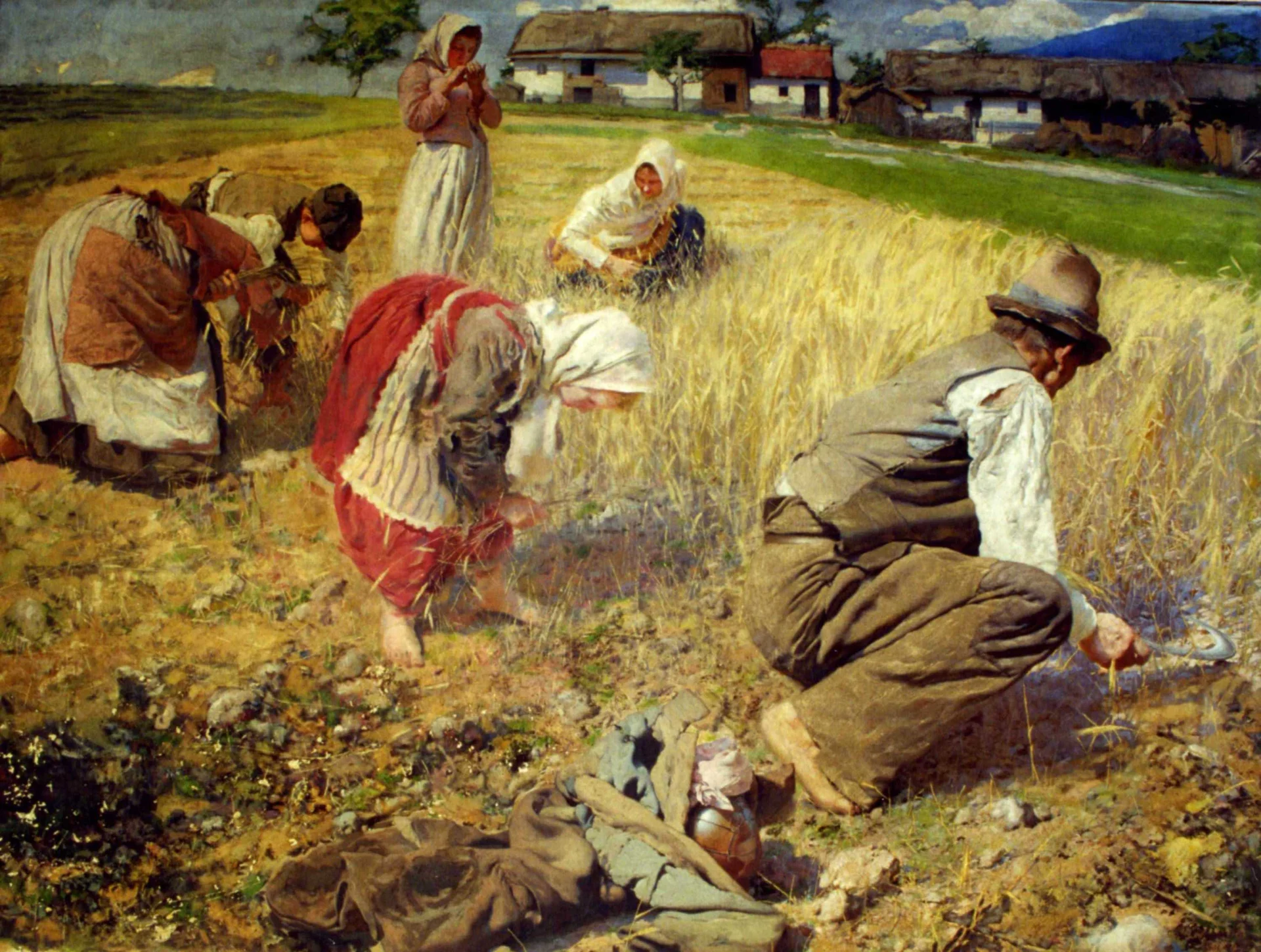 Náhledový obrázek předmětu Žně chudých
