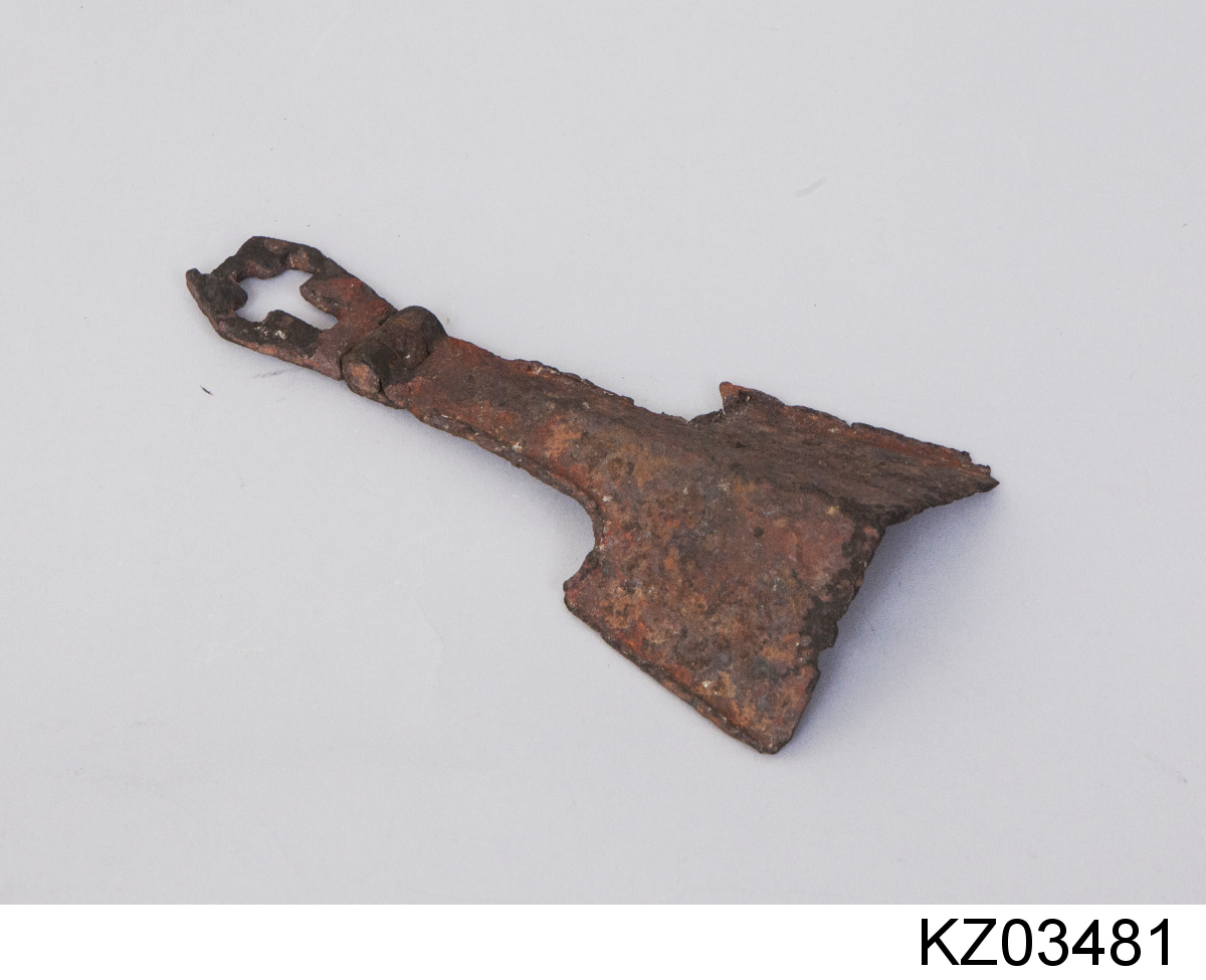 Náhledový obrázek Nánosník - 1