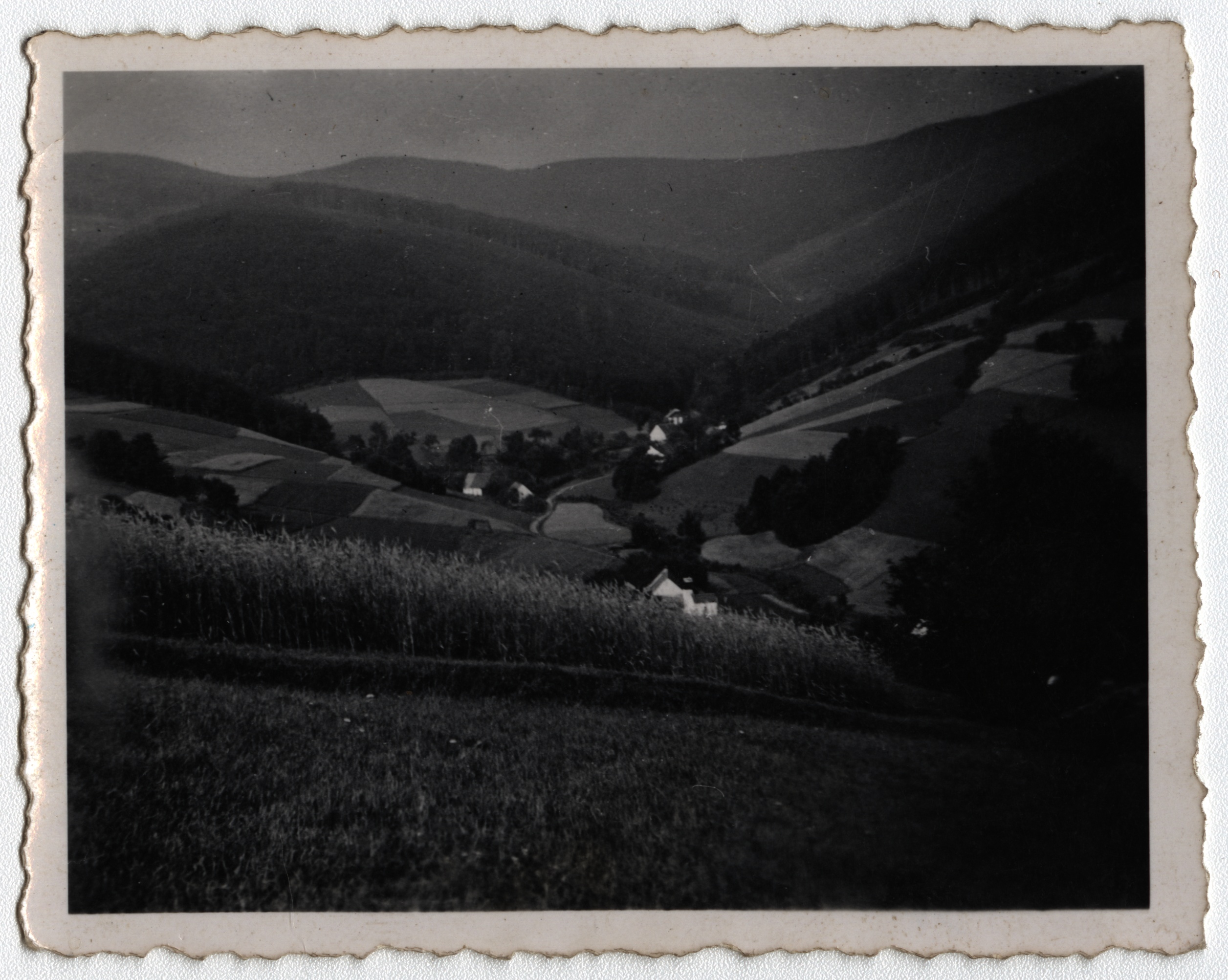 Náhledový obrázek Osada Polka na historické fotografii - 1