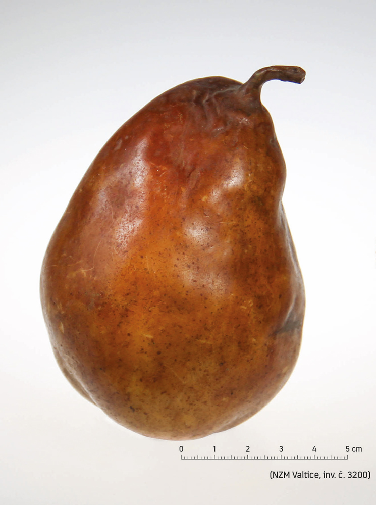 Náhledový obrázek Hruška Lahvice královská - 1