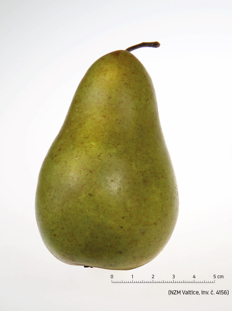 Náhledový obrázek Hruška Le Brunova - 1