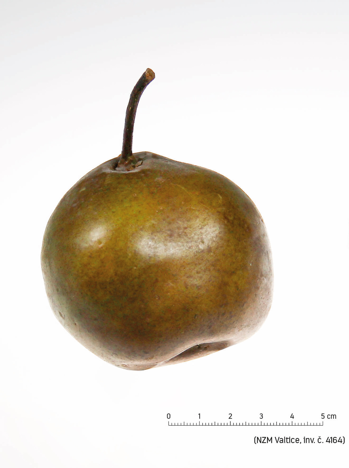 Náhledový obrázek Hruška Bergamotka Esperenova - 1