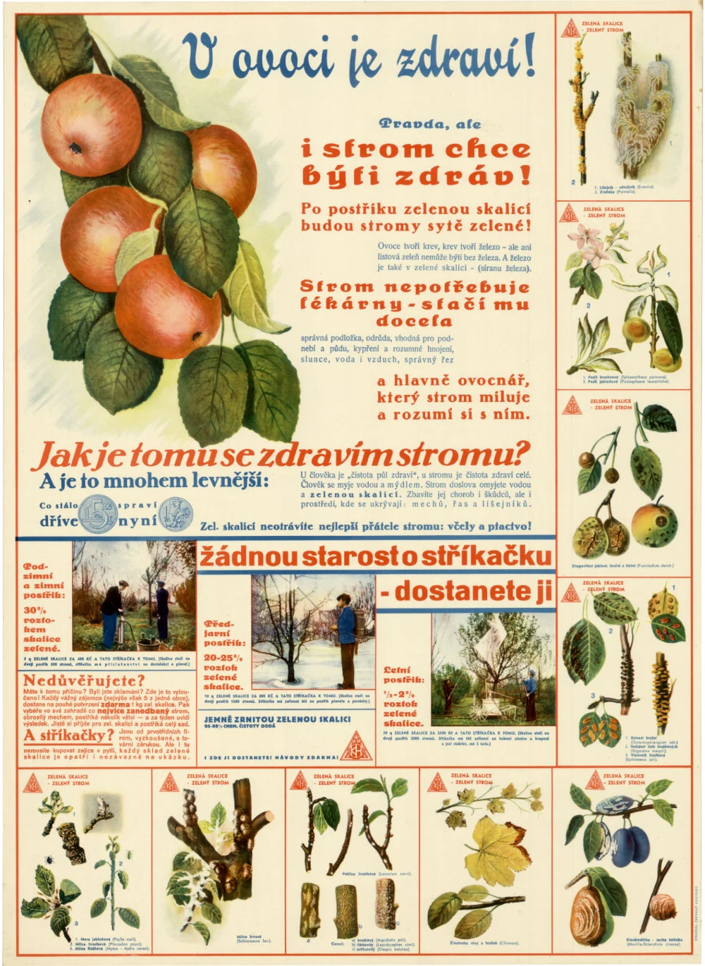 Náhledový obrázek předmětu Propagace síranu železnatého jako postřiku vhodného pro ovocné stromy, plakát.jpg
