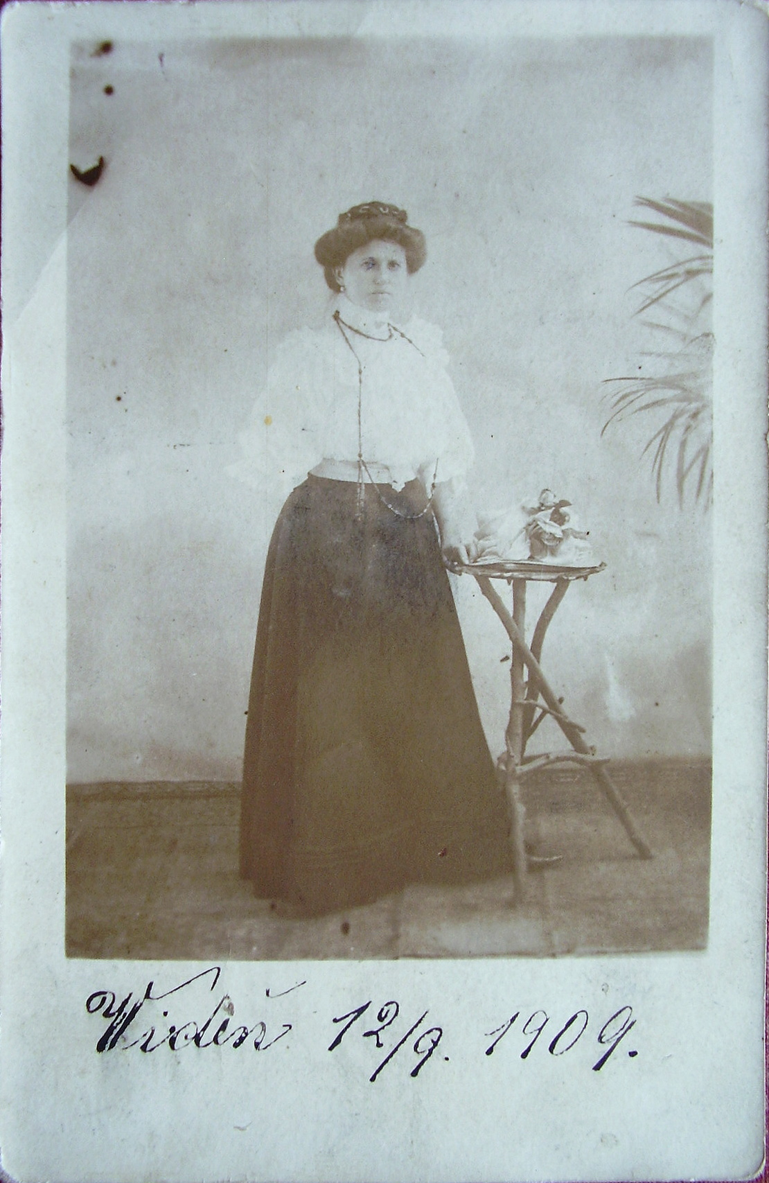 Náhledový obrázek Marie Vrtáčková ve Vídni - 1