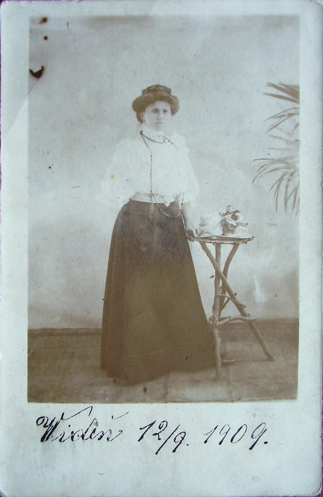 Náhledový obrázek předmětu Marie Vrtáčková ve Vídni