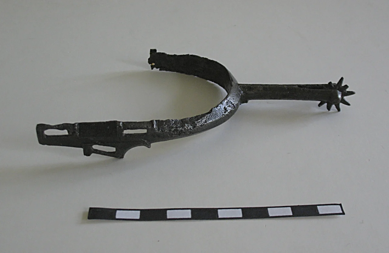 Obrázek Ostruha