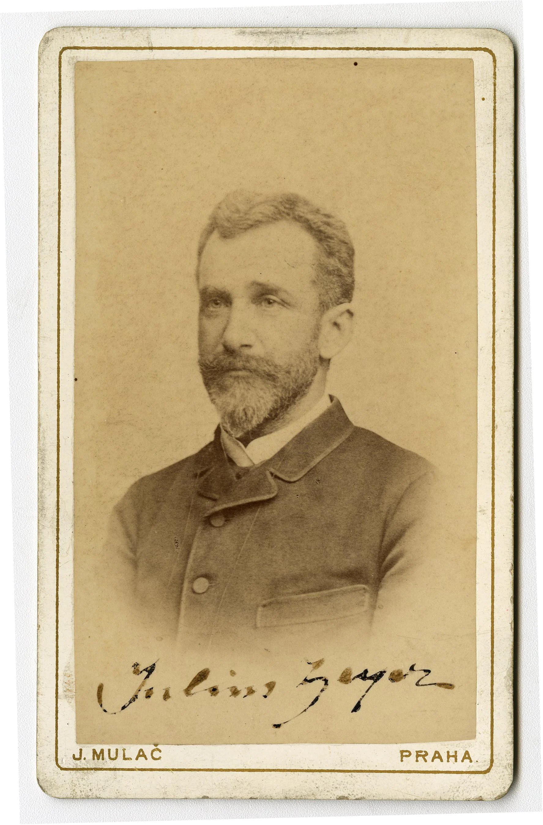 Náhledový obrázek předmětu Julius Zeier