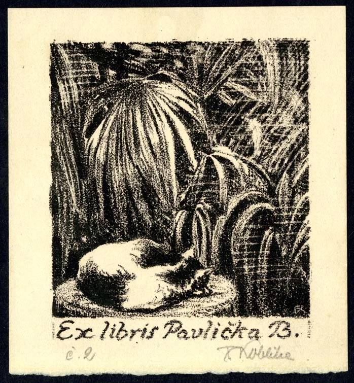 Náhledový obrázek předmětu Exlibris